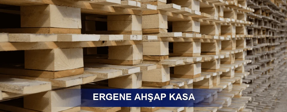 Ergene Ölçü Seçenekleri