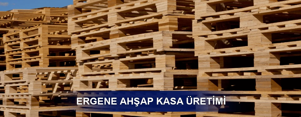 Ergene Fiyatlandırma