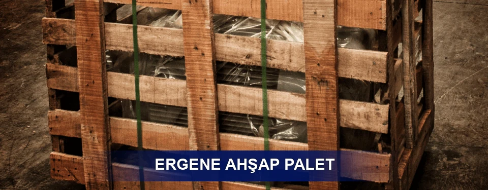 Ergene Ölçü Seçenekleri