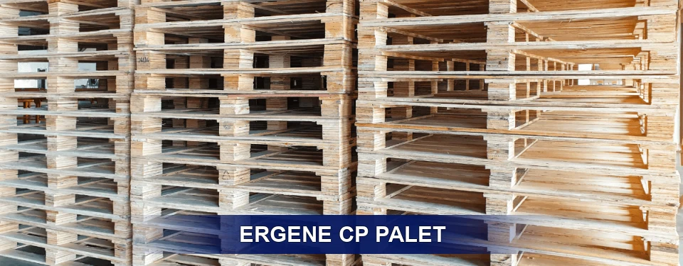 Ergene Standart Tipler