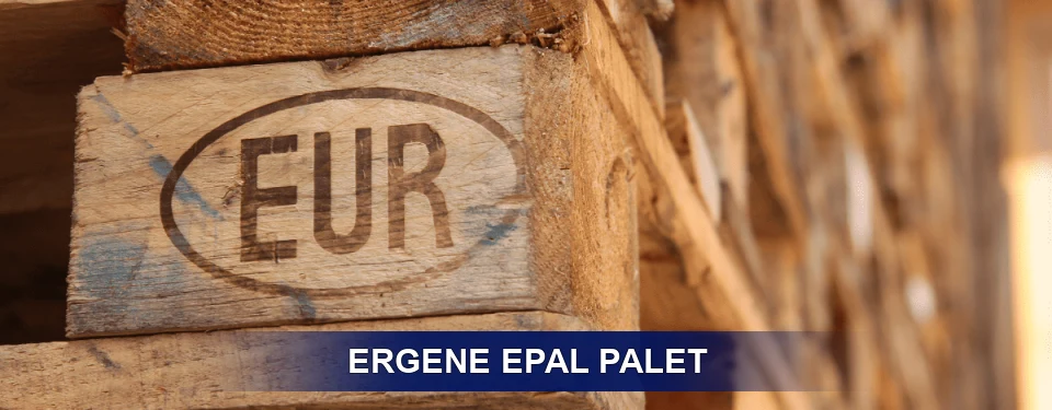 Ergene Standart Yapı