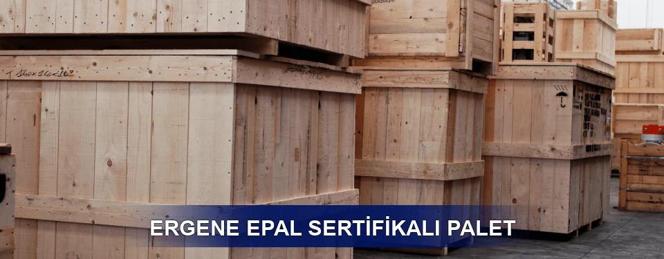 Ergene Fiyatlandırma