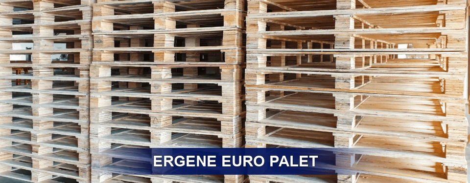 Ergene Depo Kullanımı