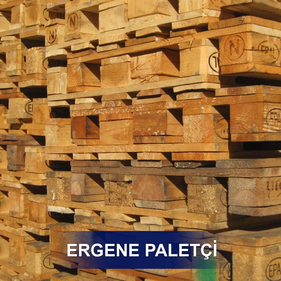 Ergene Paletçi