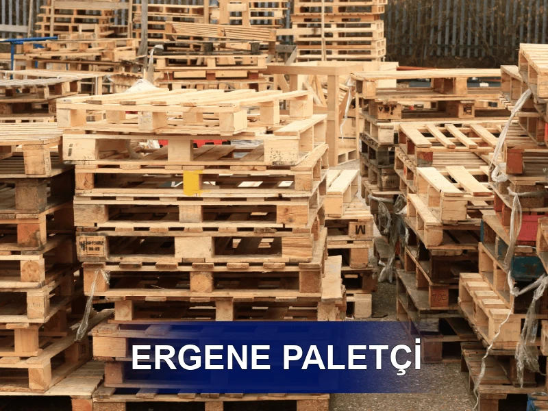 Ergene Palet Galeri 1