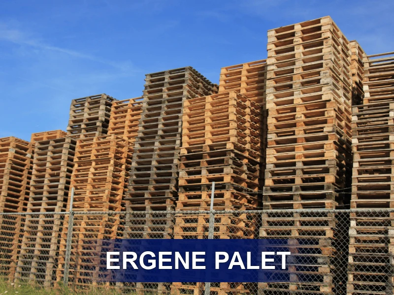 Ergene Palet Galeri 2