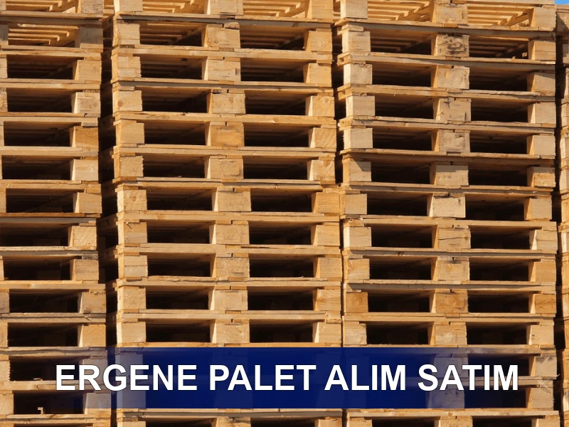 Ergene Palet Galeri 3