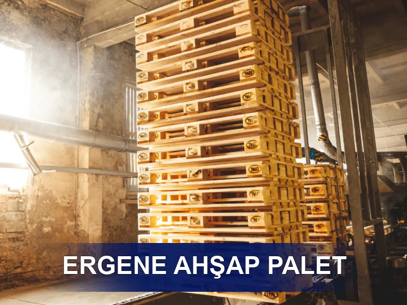 Ergene Palet Galeri 4