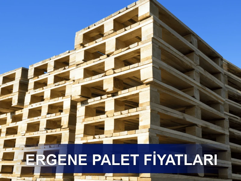 Ergene Palet Galeri 8
