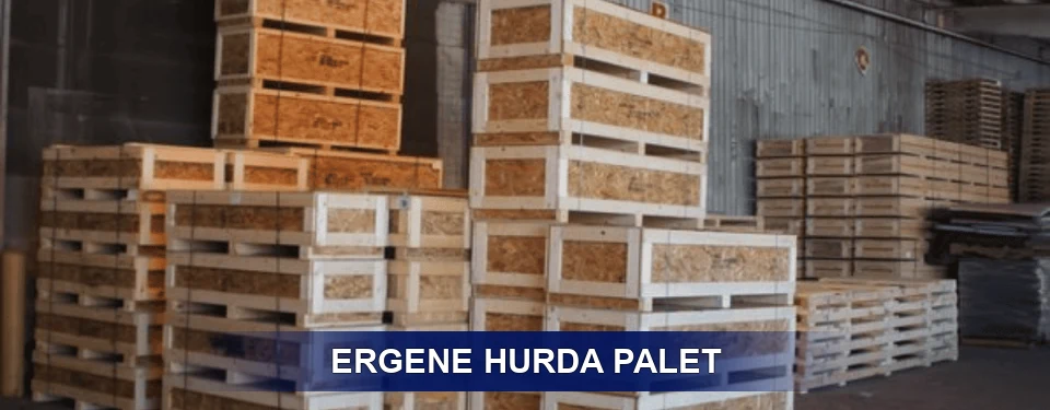 Ergene Sınıflandırma