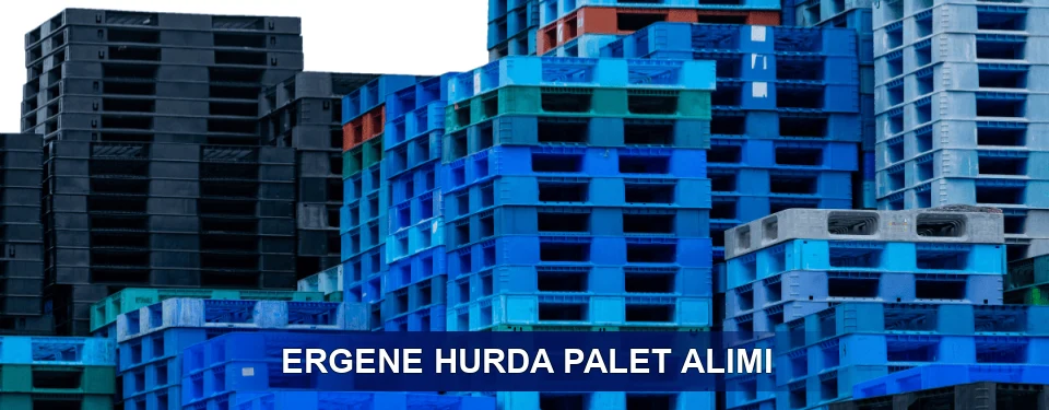 Ergene Fiyatlandırma