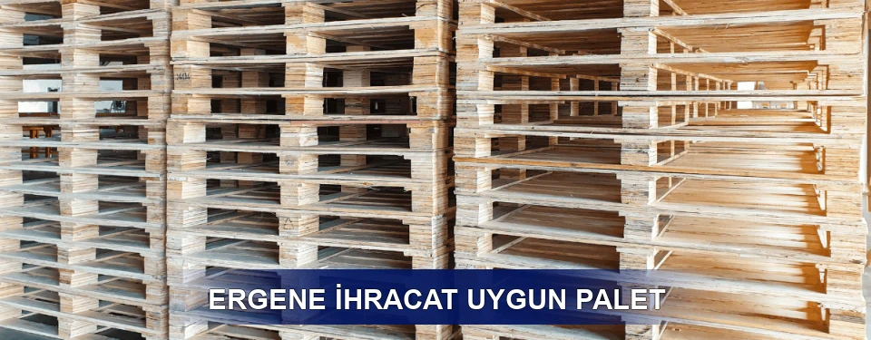 Ergene Fiyatlandırma