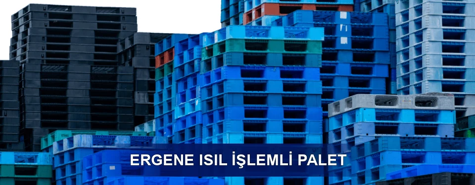 Ergene İşaretleme