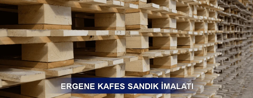 Ergene Fiyatlandırma