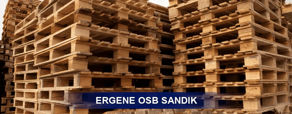 Ergene Ölçü Planı