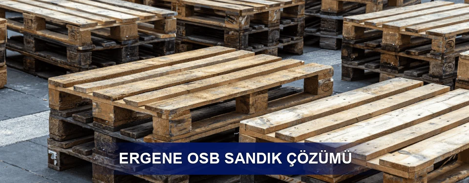 Ergene Fiyatlandırma