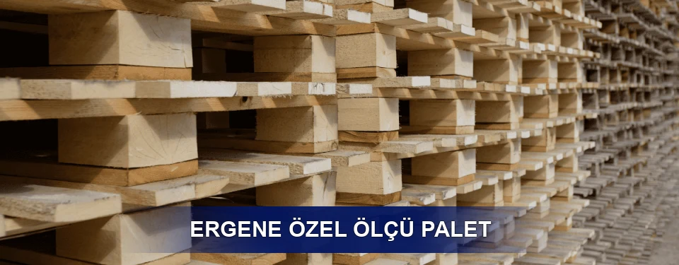 Ergene Yük Kapasitesi