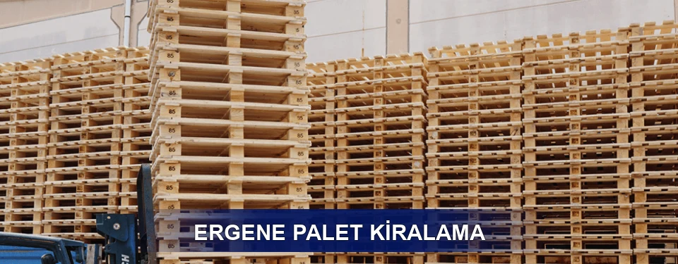 Ergene Uzun Dönem