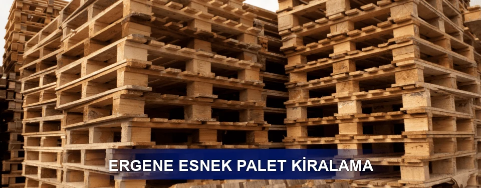 Ergene Fiyatlandırma