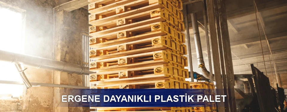 Ergene Fiyatlandırma
