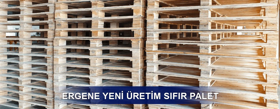 Ergene Fiyatlandırma